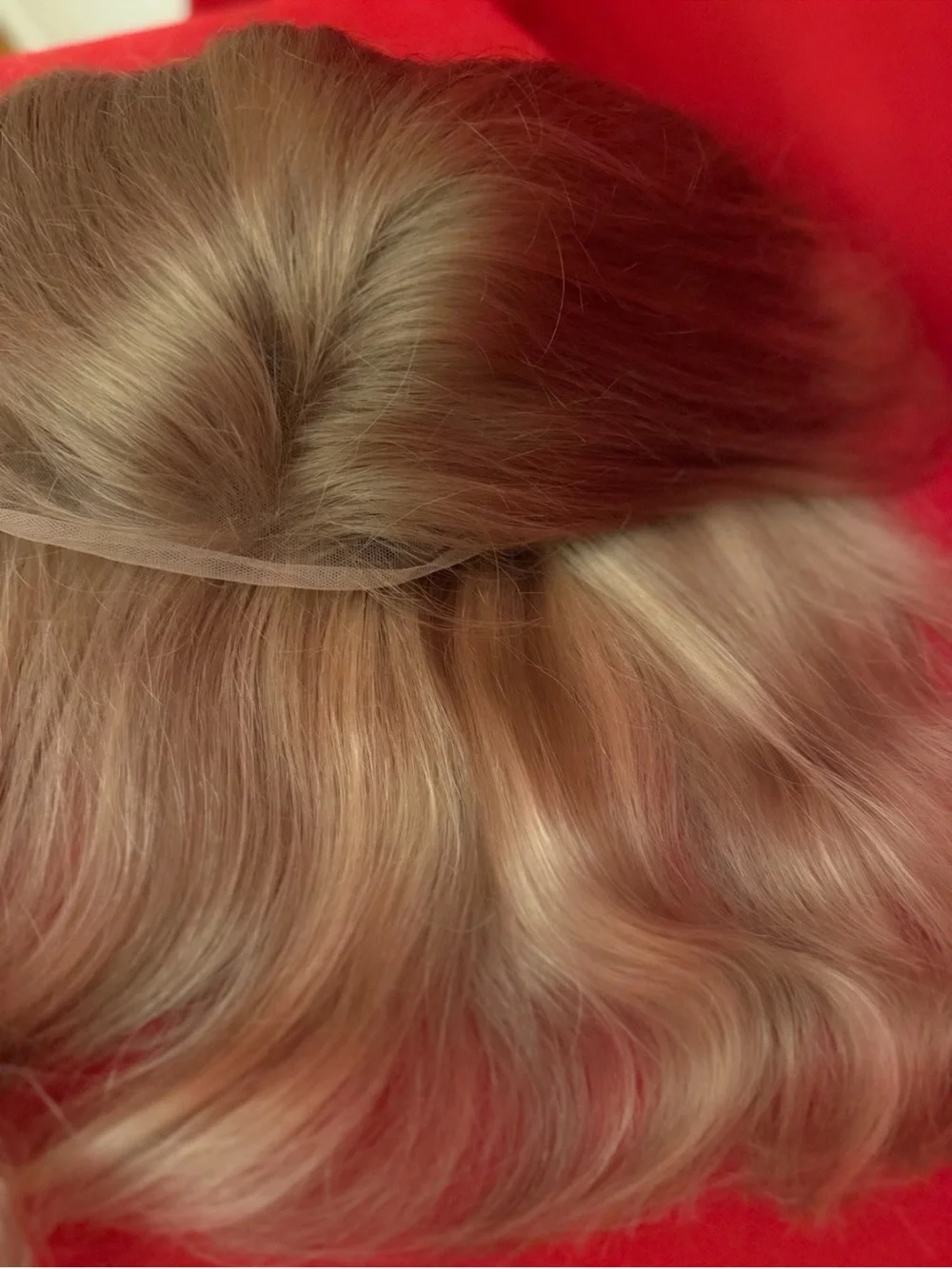 22” Wig Front Lace Natural Blonde Roots Ombré Highlight 100% Human Hair